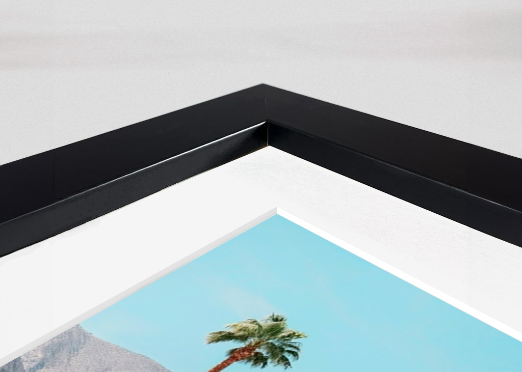 Moderne aus der Mitte des Jahrhunderts Palm Springs