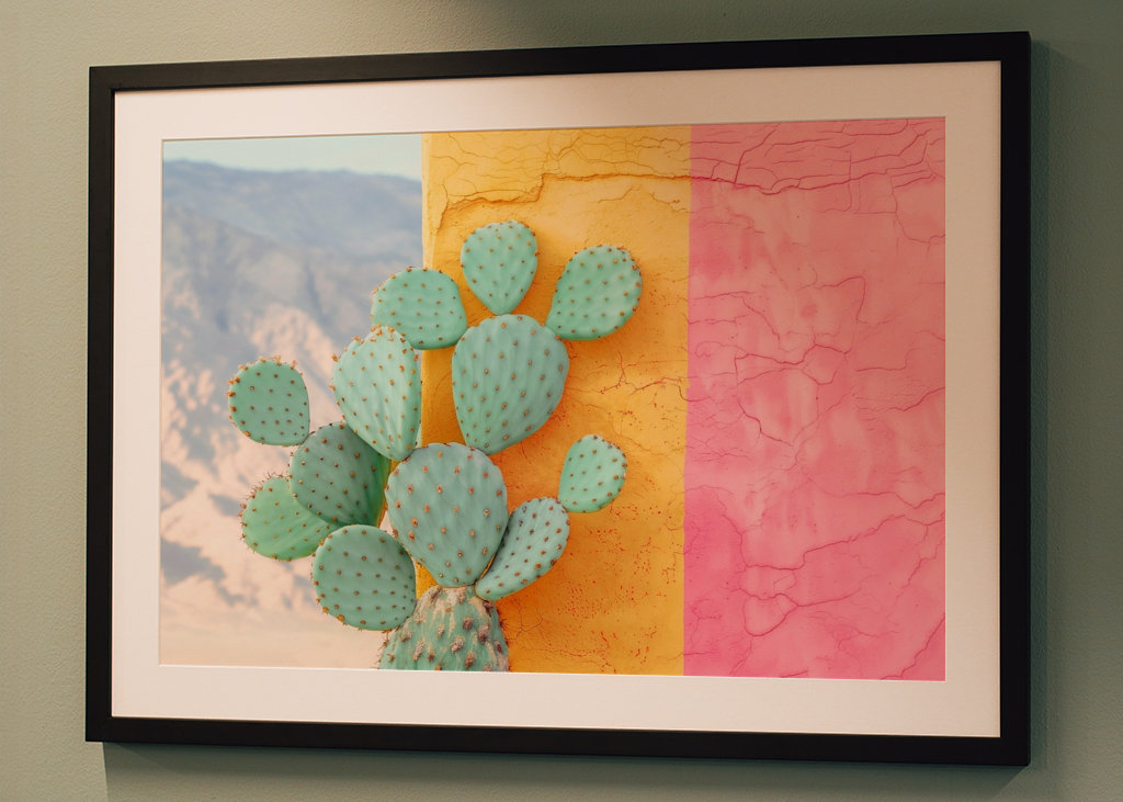 Cactus Colorwall