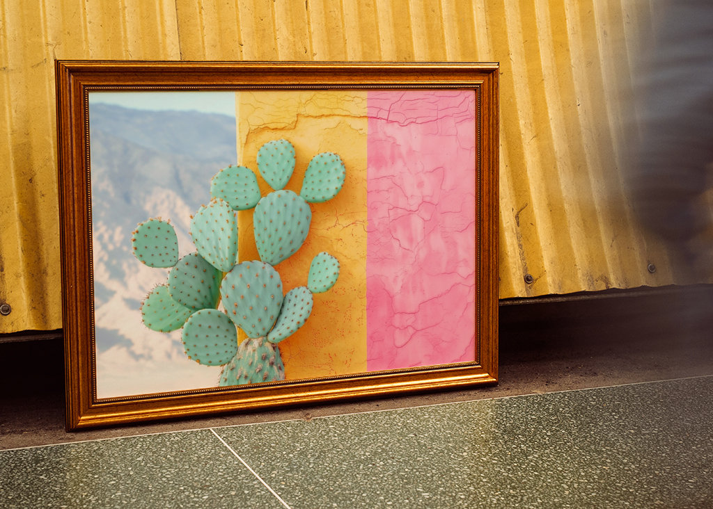 Cactus Colorwall
