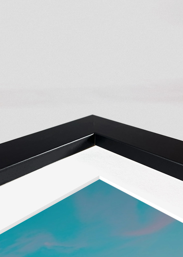 Los Angeles Sunset House Pool