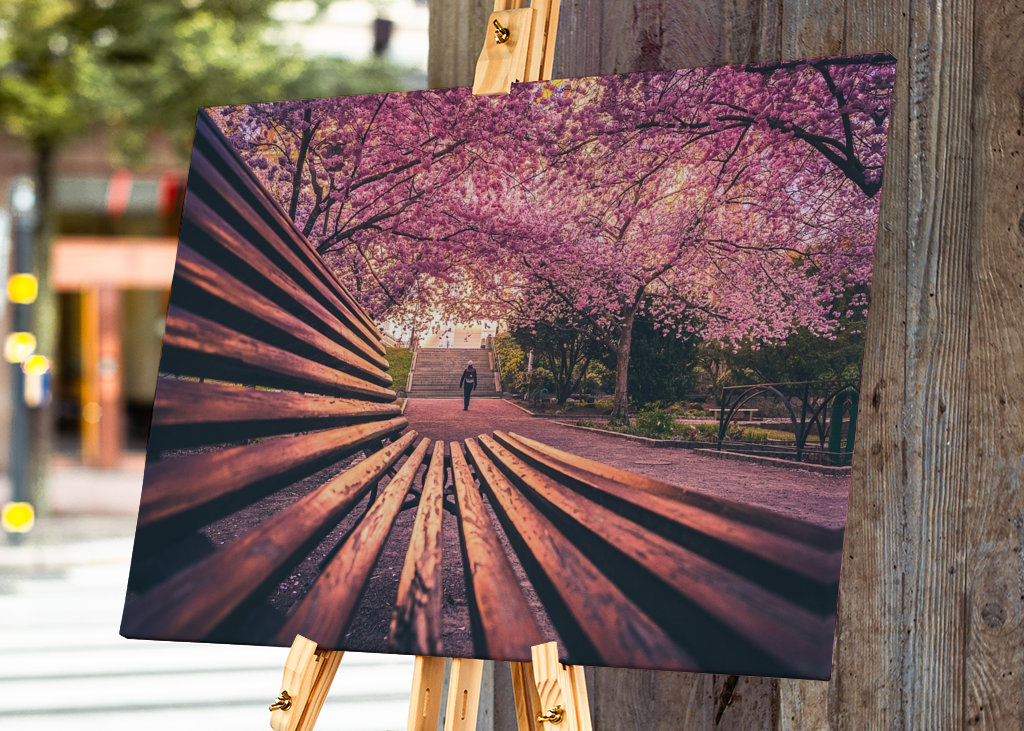 Seminarieparken in Göteborg