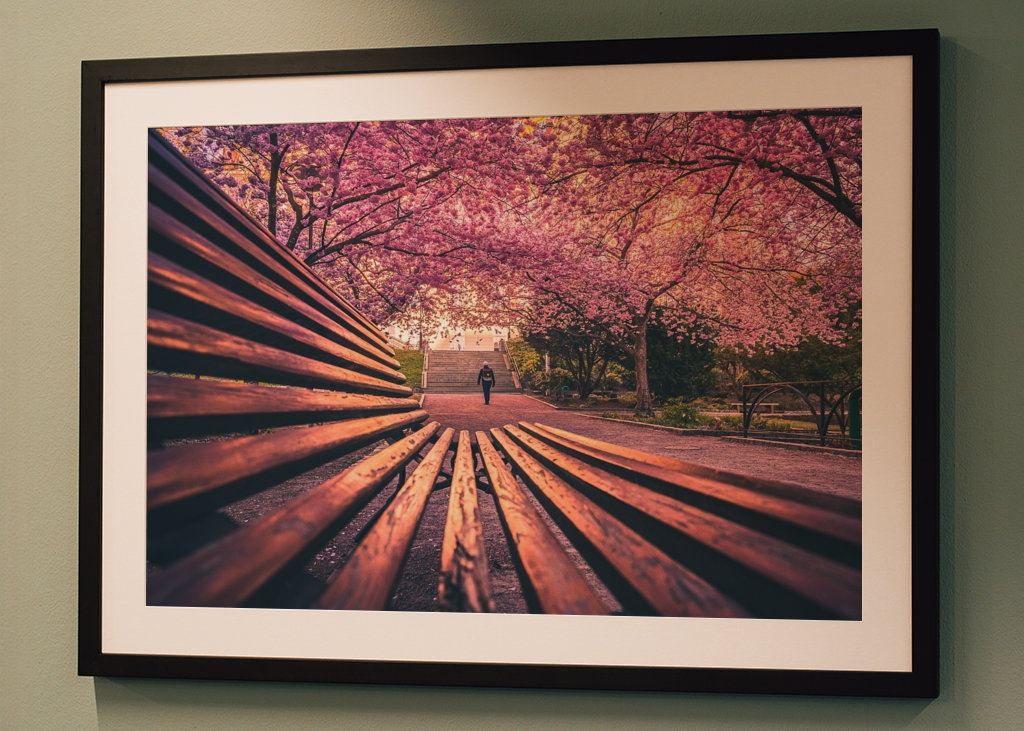 Seminarieparken in Göteborg