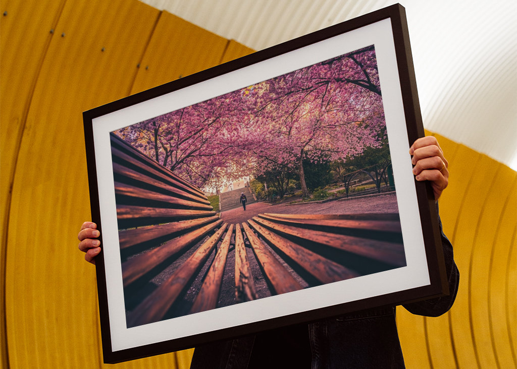 Seminarieparken in Göteborg