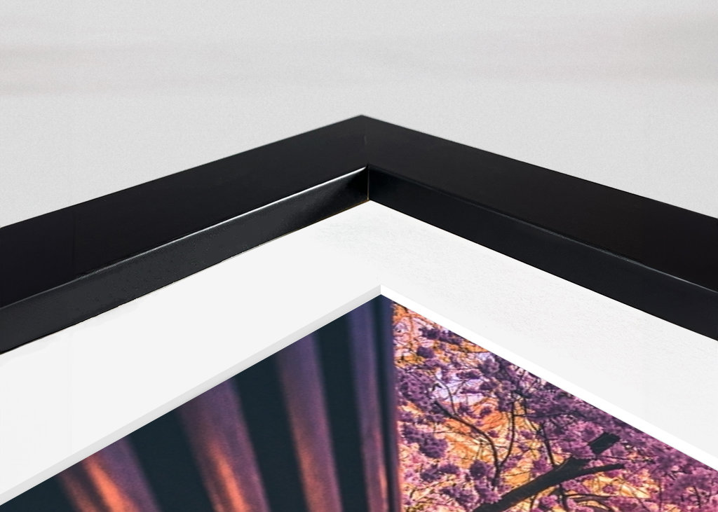 Seminarieparken in Göteborg