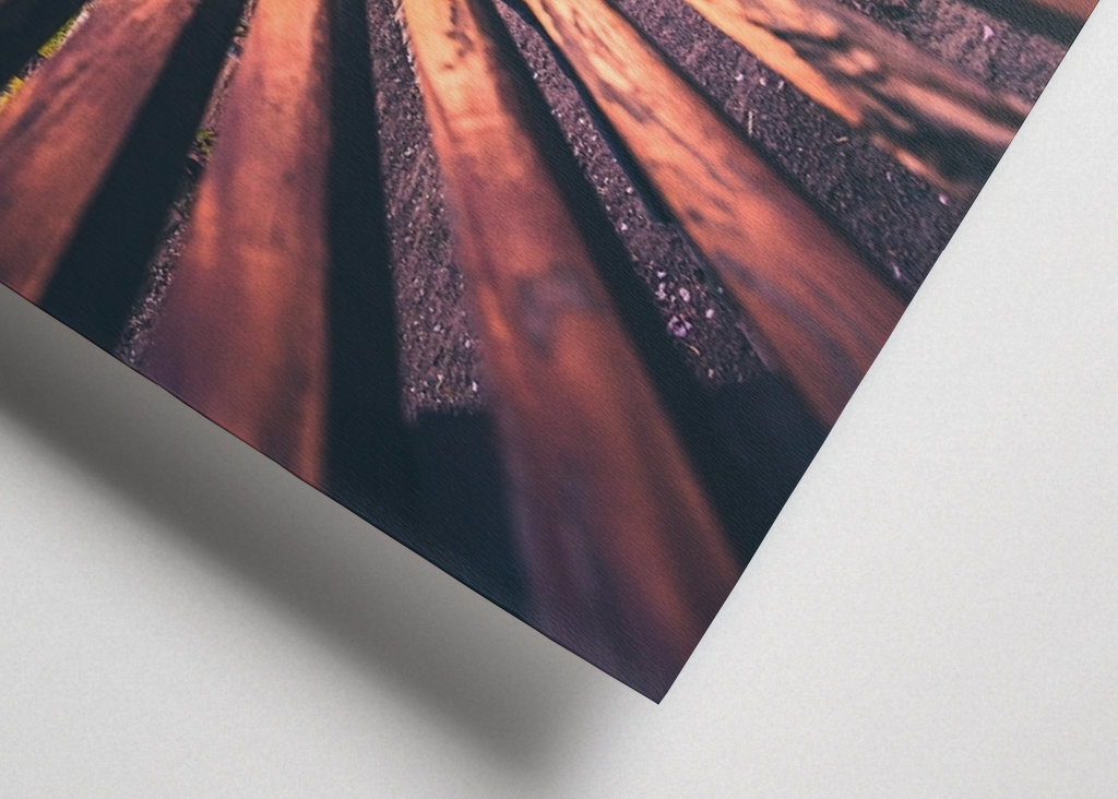 Seminarieparken in Göteborg