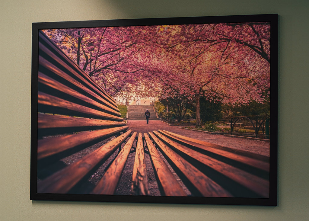 Seminarieparken in Göteborg