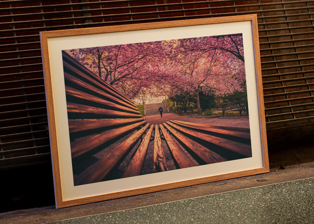 Seminarieparken in Göteborg