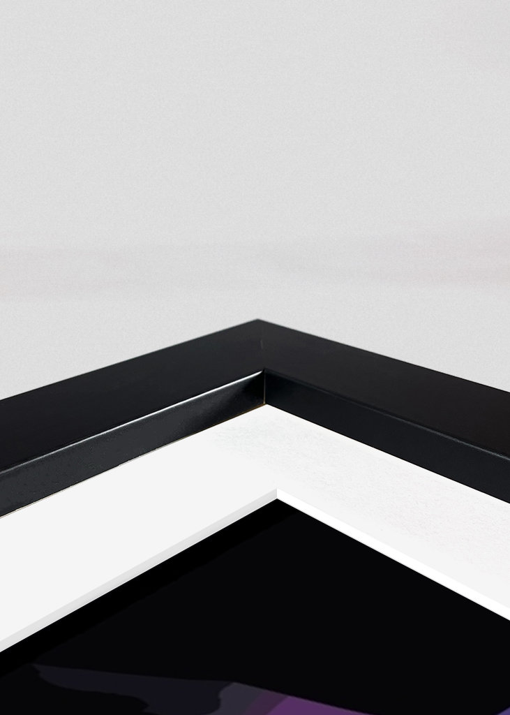 Neon Genesis Evangelion