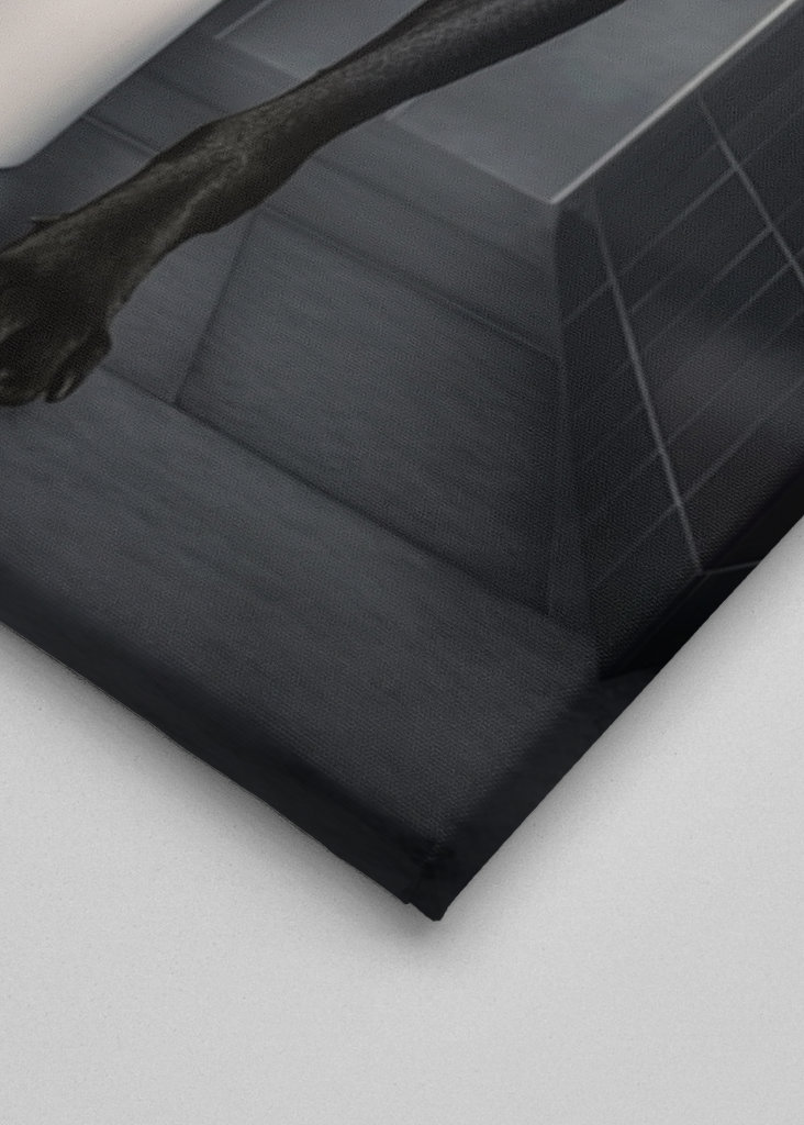 Labrador noir sur les toilettes