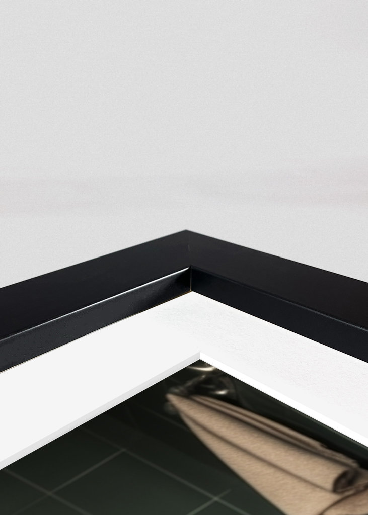 Ungarsk vizsla på toalettet