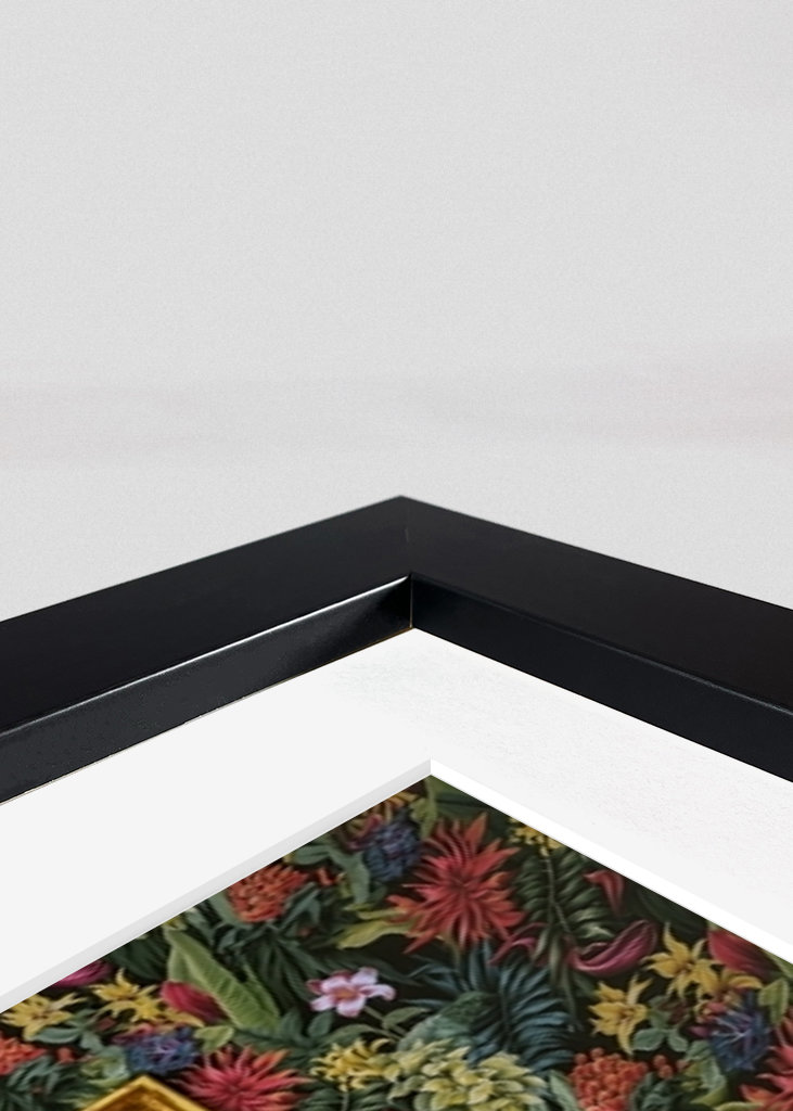 Gorilla on the Toilet