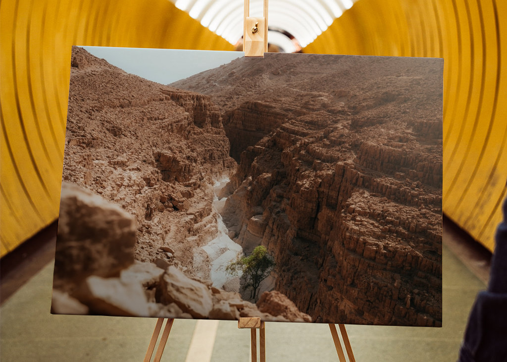 Osamělý strom v poušti