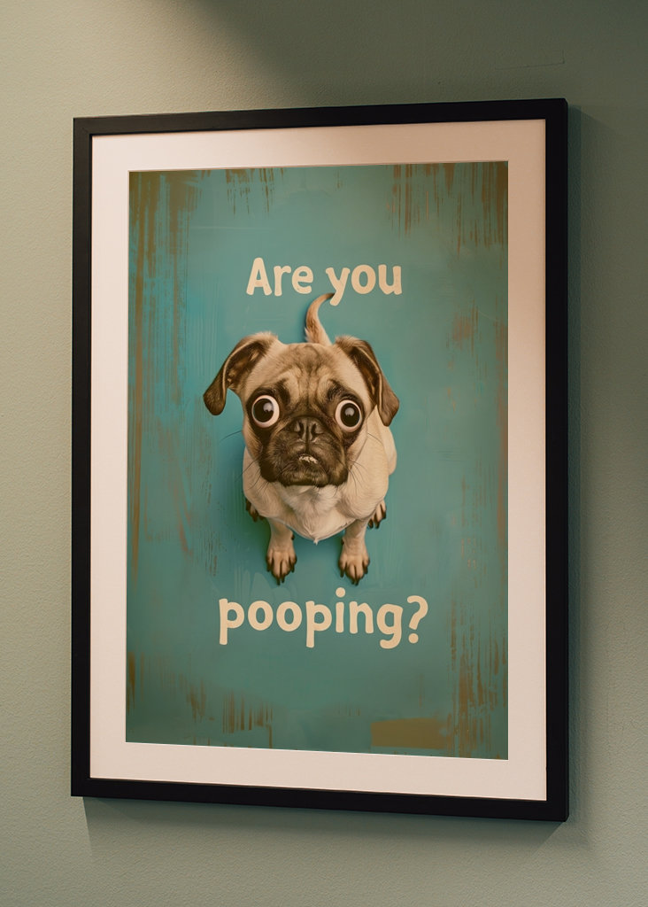 Pug "Are you pooping"?