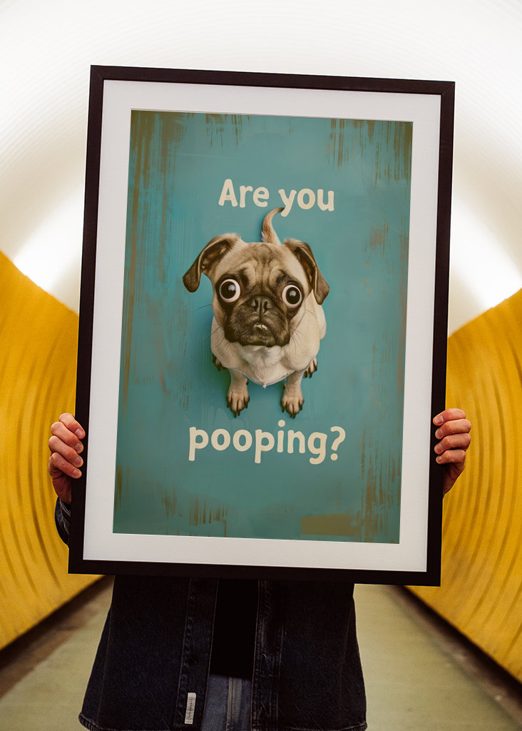 Pug "Are you pooping"?