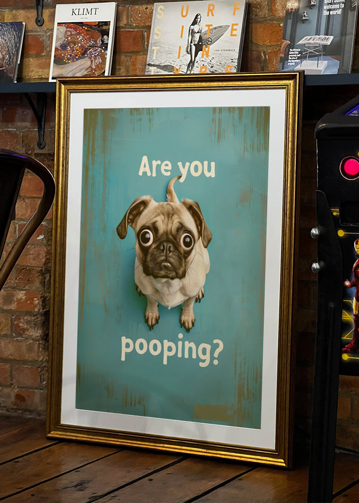 Pug "Are you pooping"?