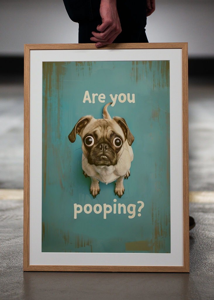 Pug "Are you pooping"?