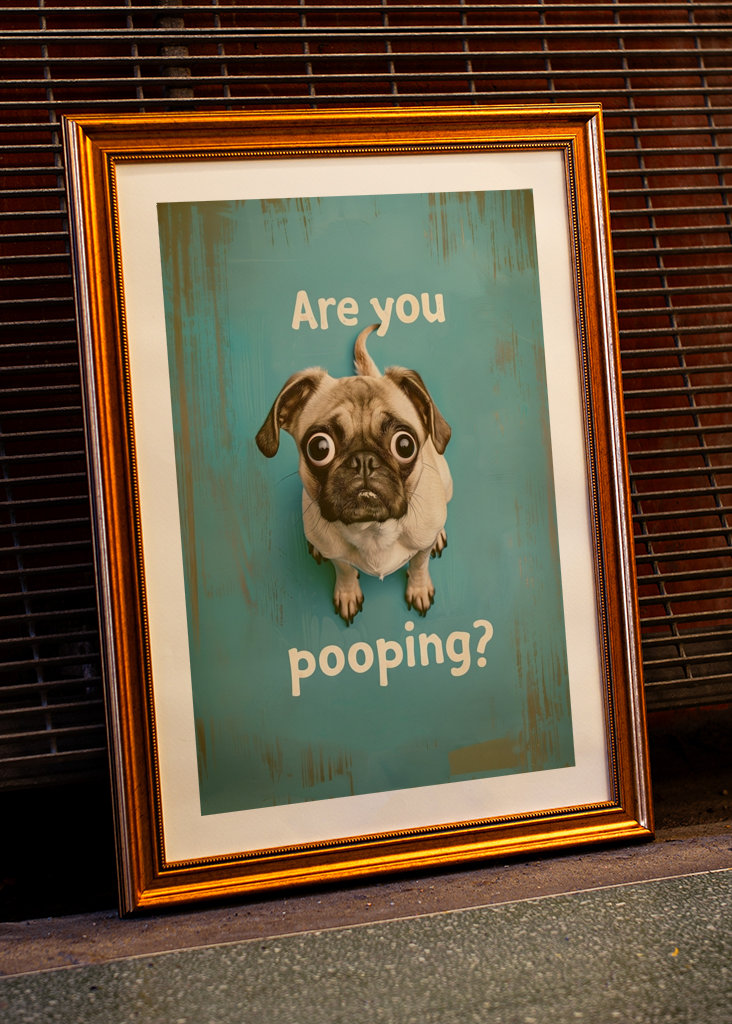 Pug "Are you pooping"?