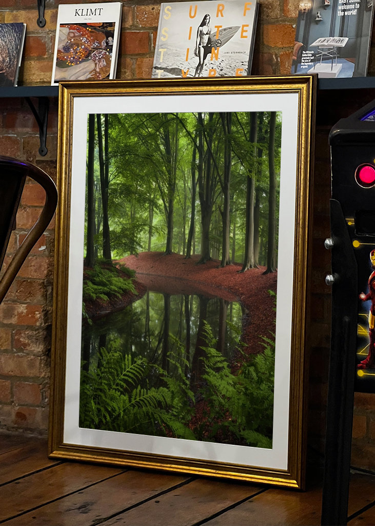 Spiegelungen des Waldes