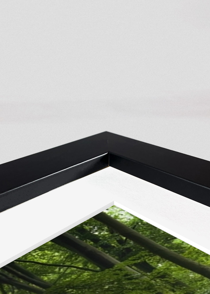 Spiegelungen des Waldes