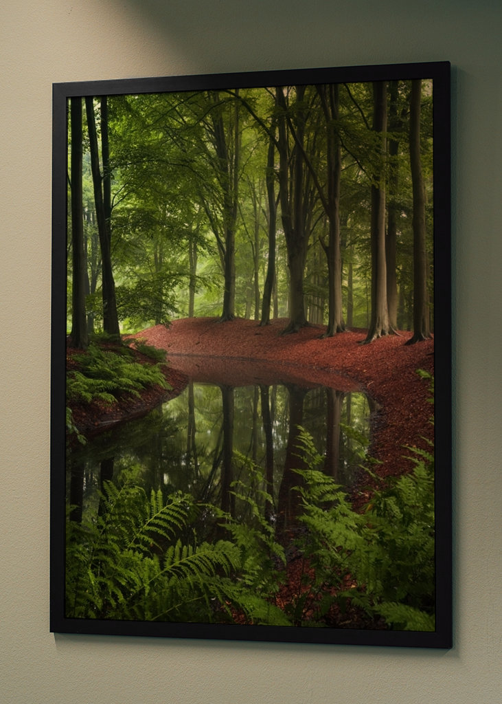 Spiegelungen des Waldes