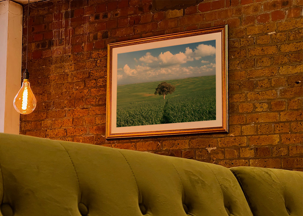 Ensomt træ i et grønt felt 