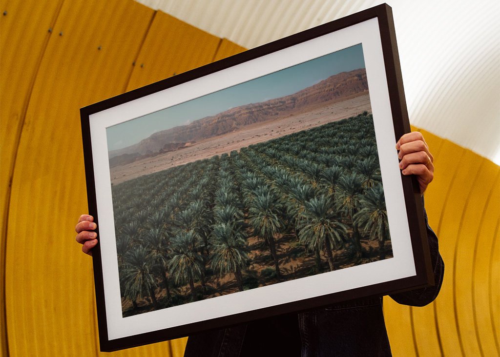 Dattelpalmen-Oase im Negev