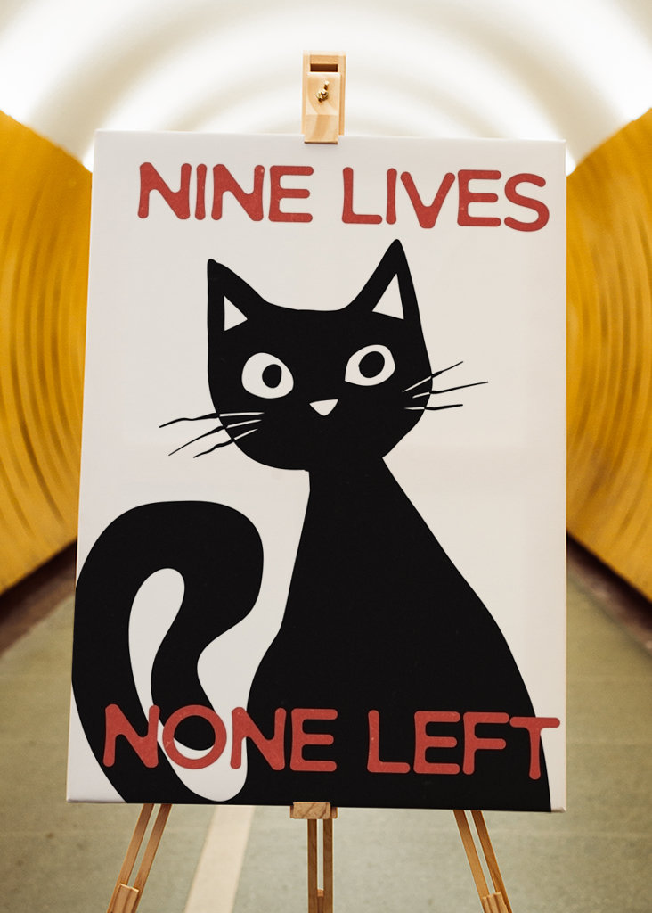 Nine Lives None Left