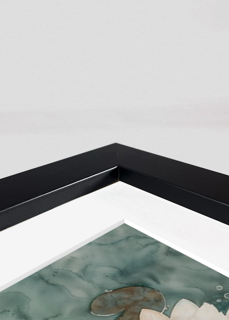 Peaceful Japan Koi Aquatic