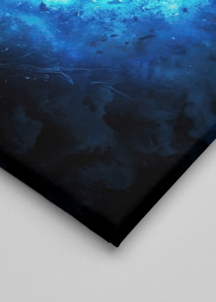 Zelda Sword And Shield