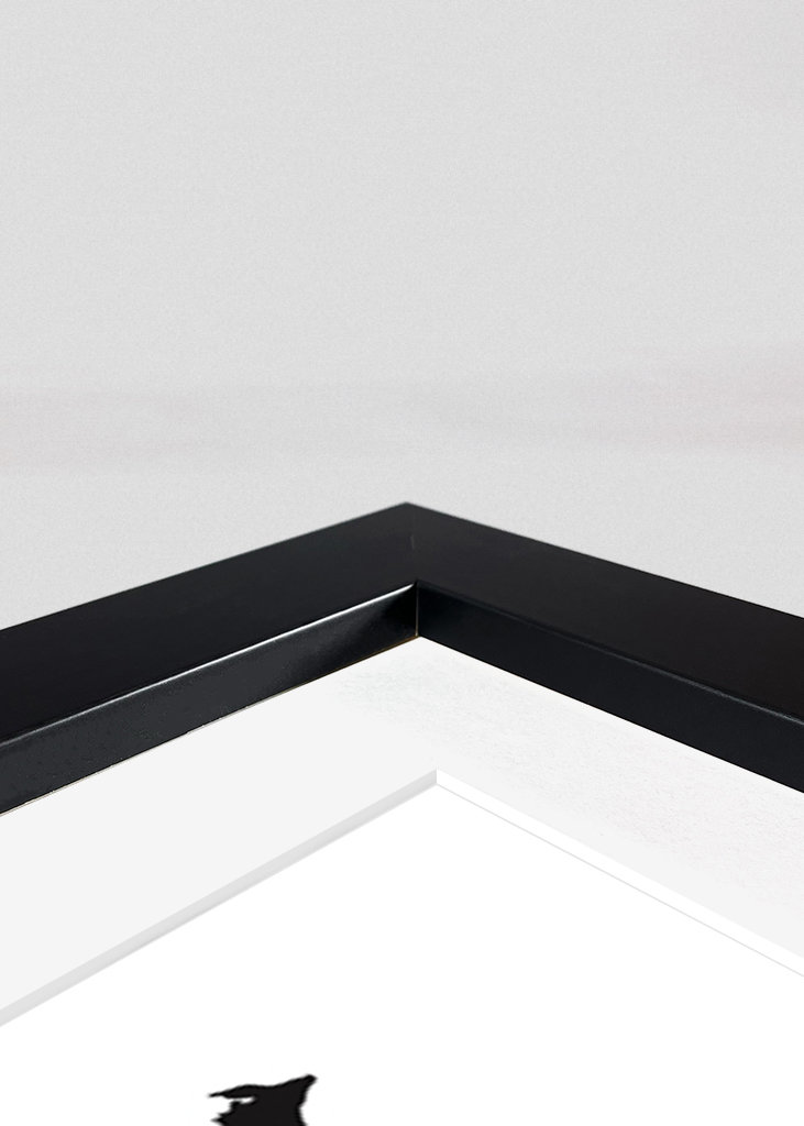 The best of IRELAND - SPAIN