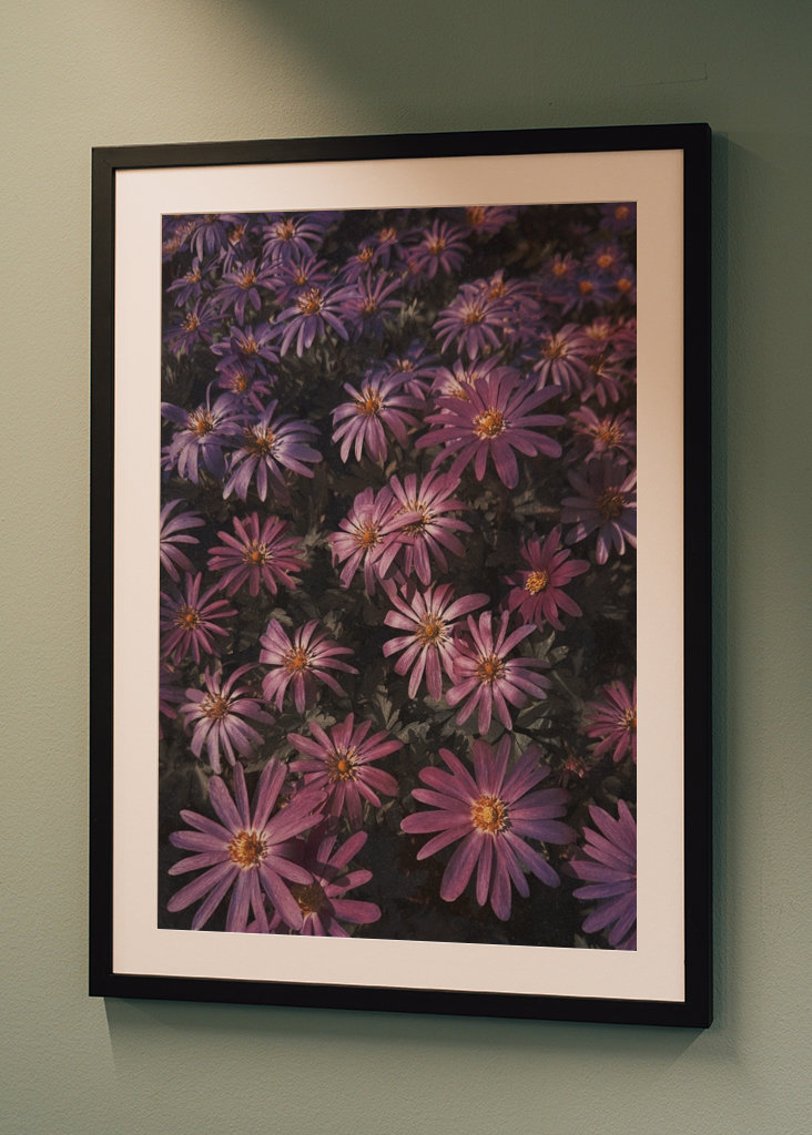 Victorian pink flowers