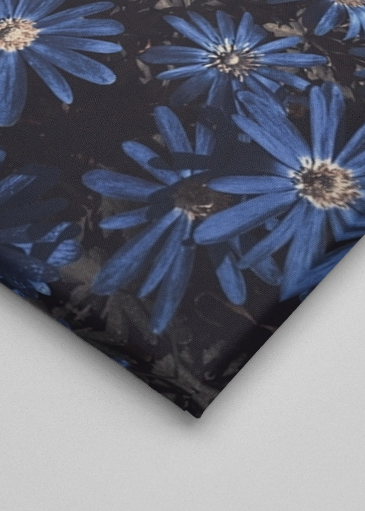 Květy modré jako noc