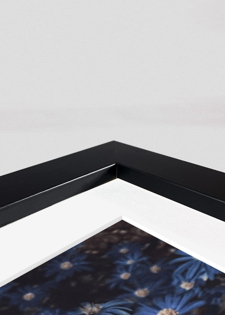 Květy modré jako noc