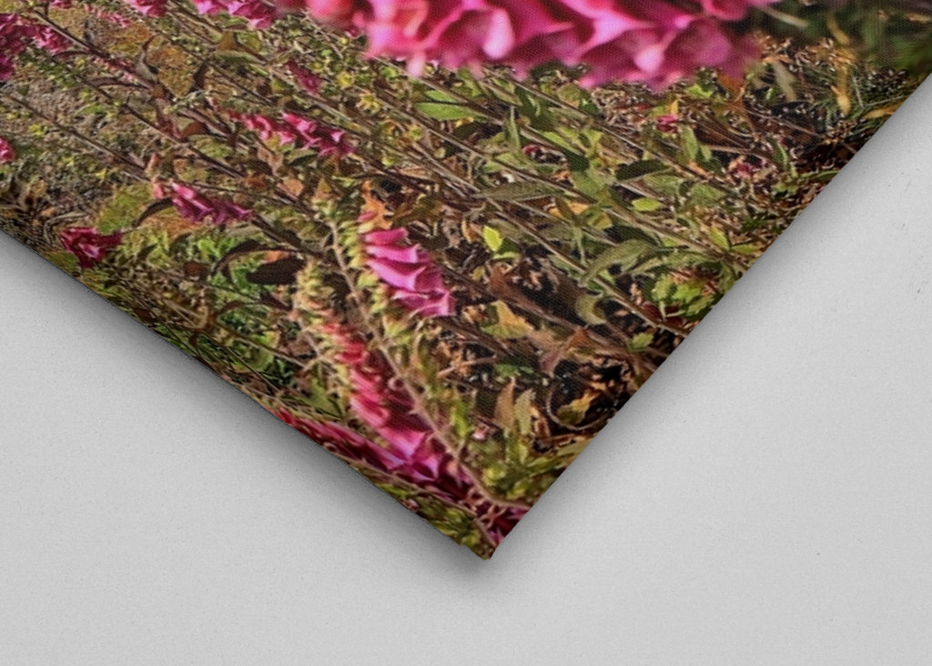 Flower of the foxglove plant