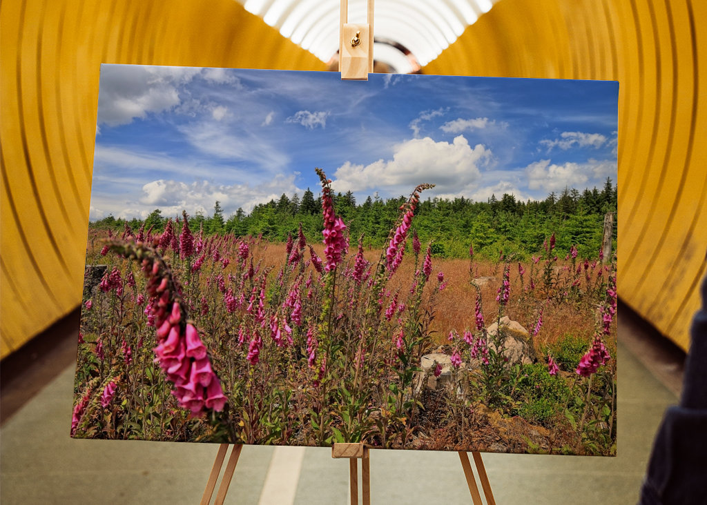 Flower of the foxglove plant