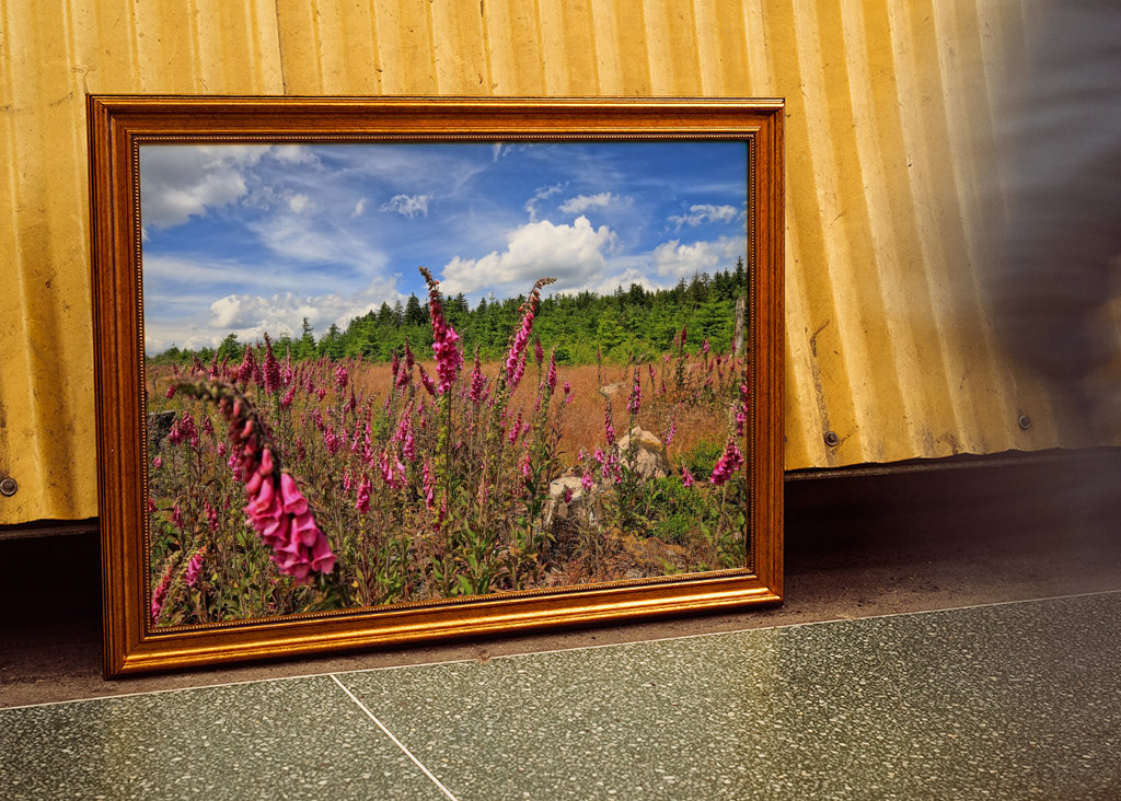 Flower of the foxglove plant