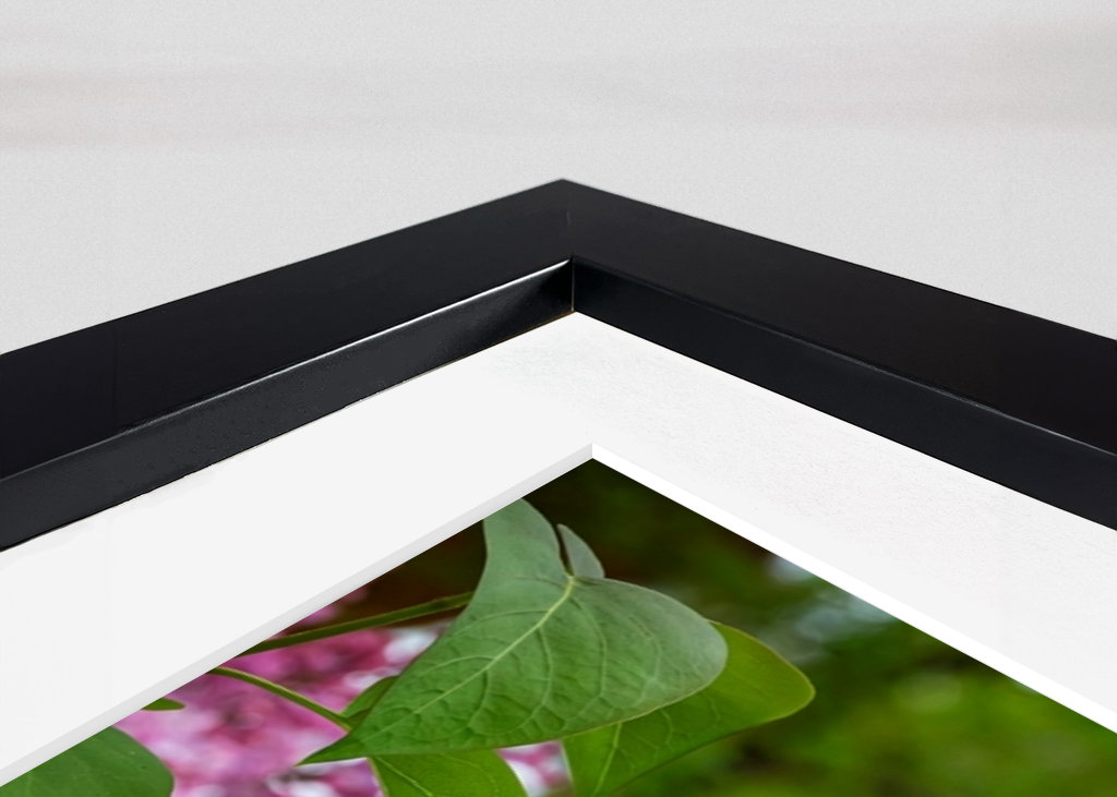 Velmi starý šeřík