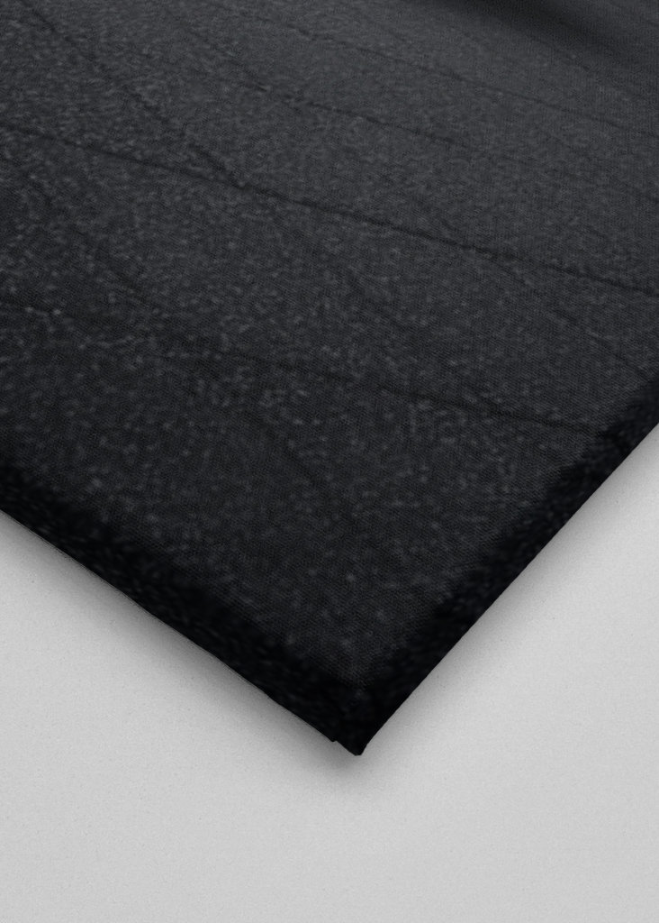 BMW M2 F87 Longbeach Blue Rear