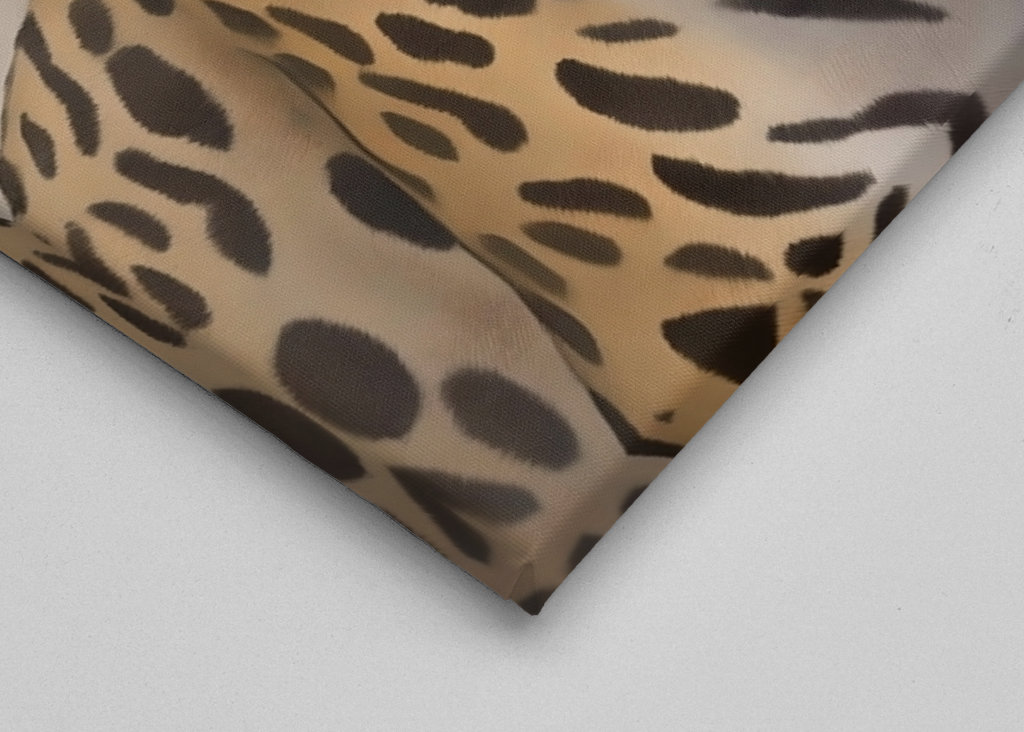 O fascínio do leopardo