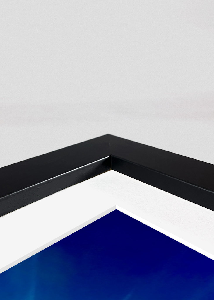 The top of the world