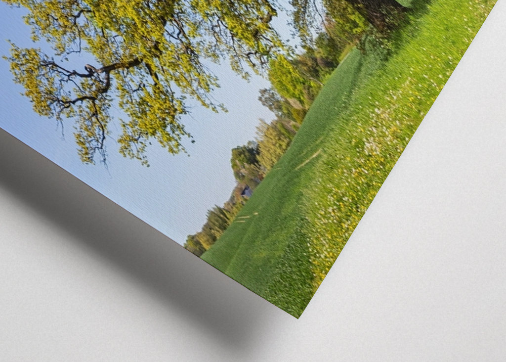 The Oak, symbol for savings