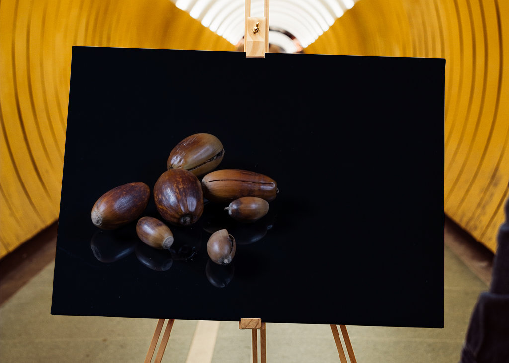 Acorns on black background