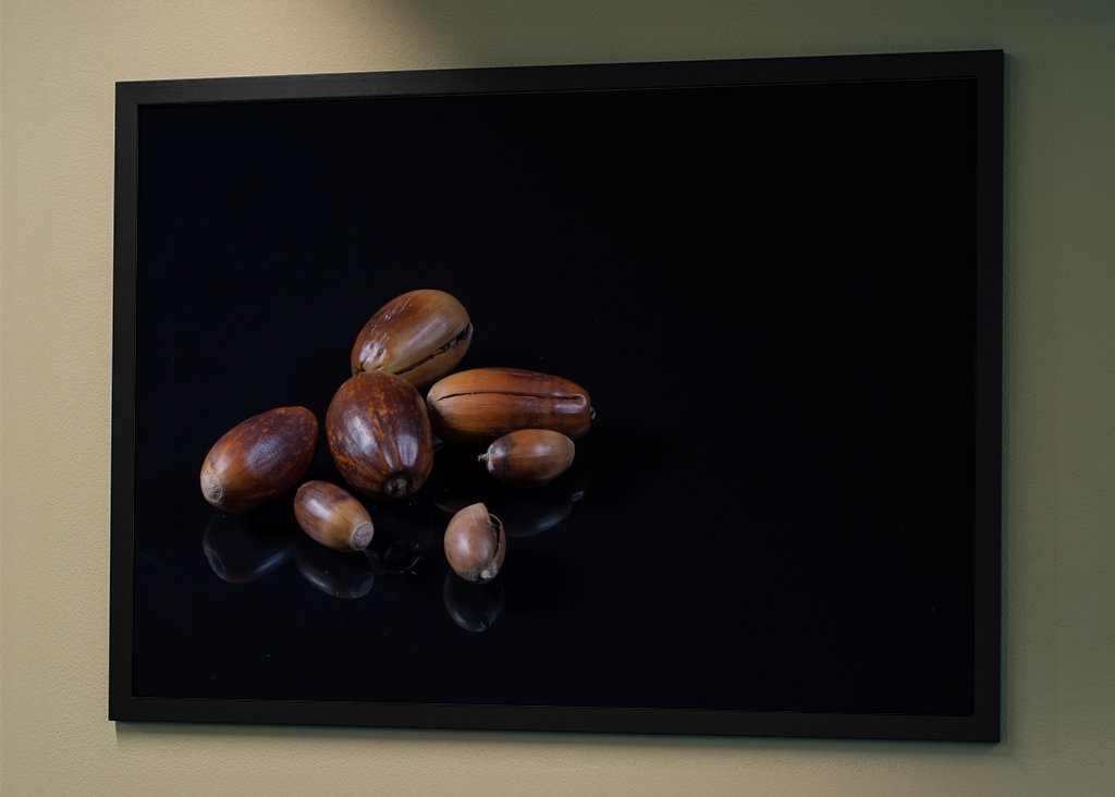 Acorns on black background