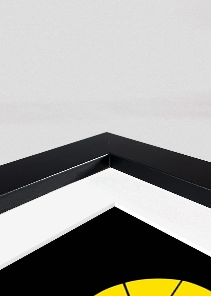 Signal Iduna Park Dortmund