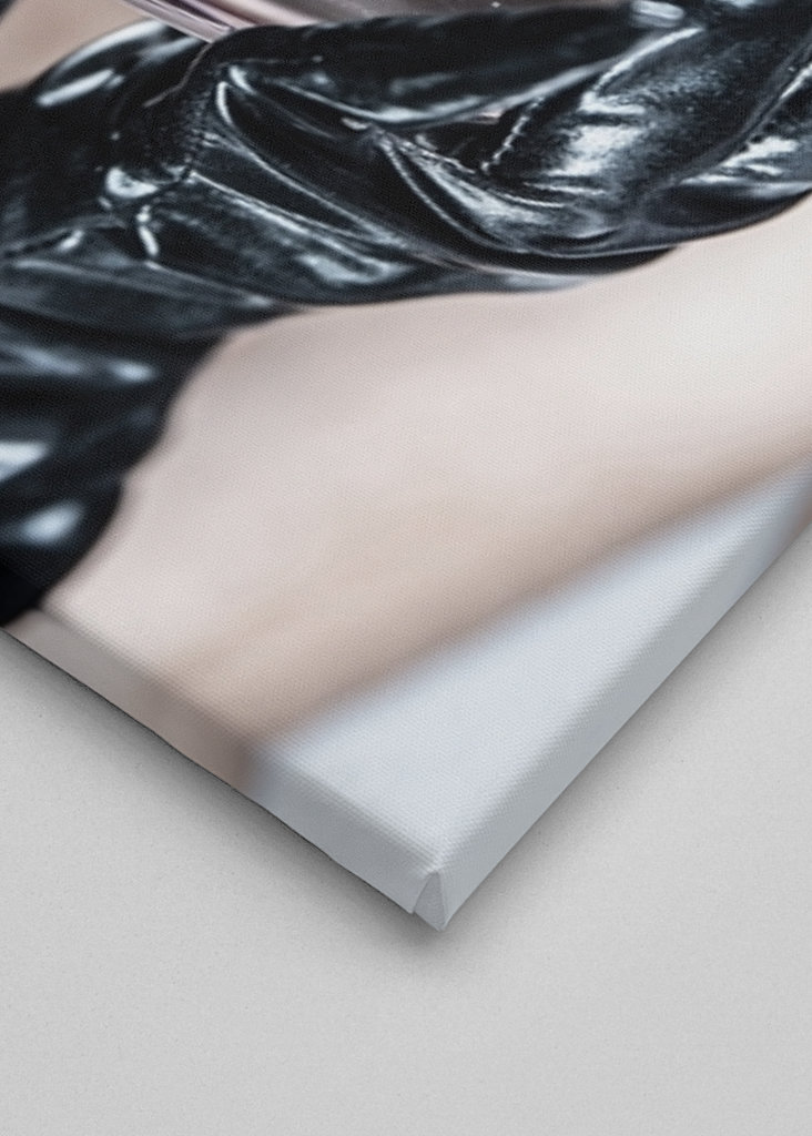 Catwoman, guldfisk i problemer.