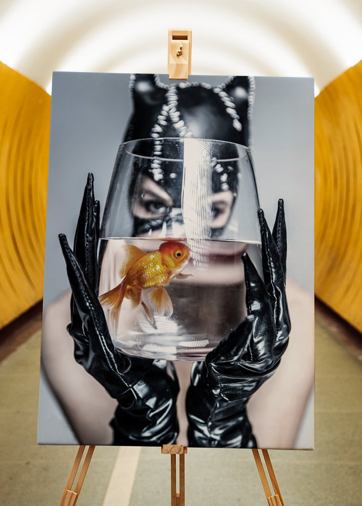 Catwoman, guldfisk i problemer.