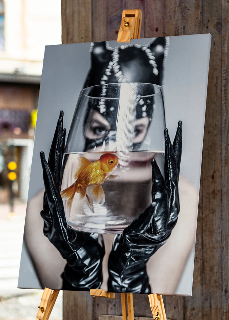 Catwoman, guldfisk i problemer.