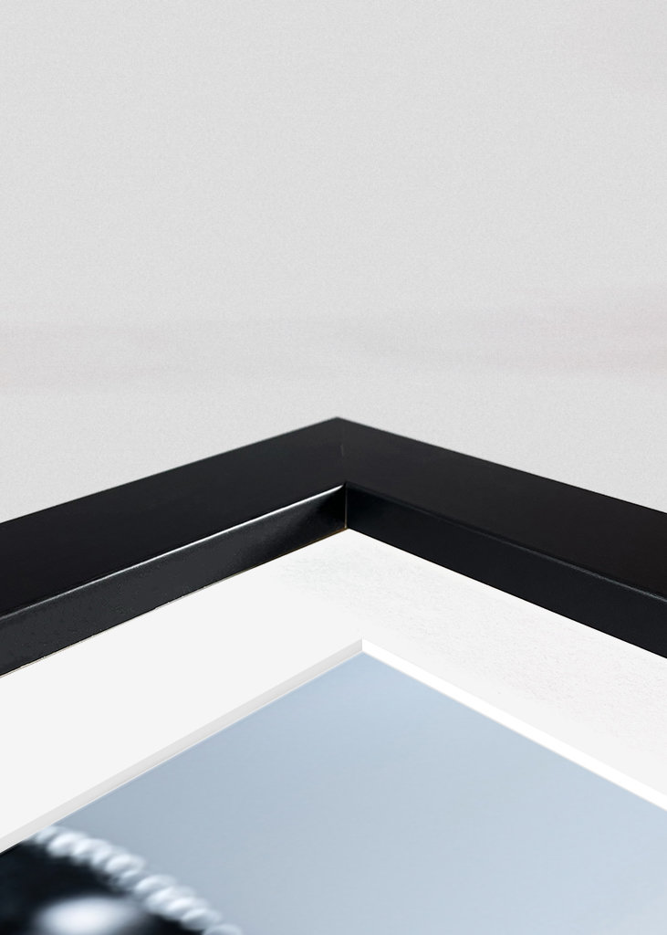 Catwoman, guldfisk i problemer.