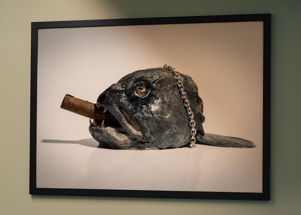 Un poisson hors de l’eau.