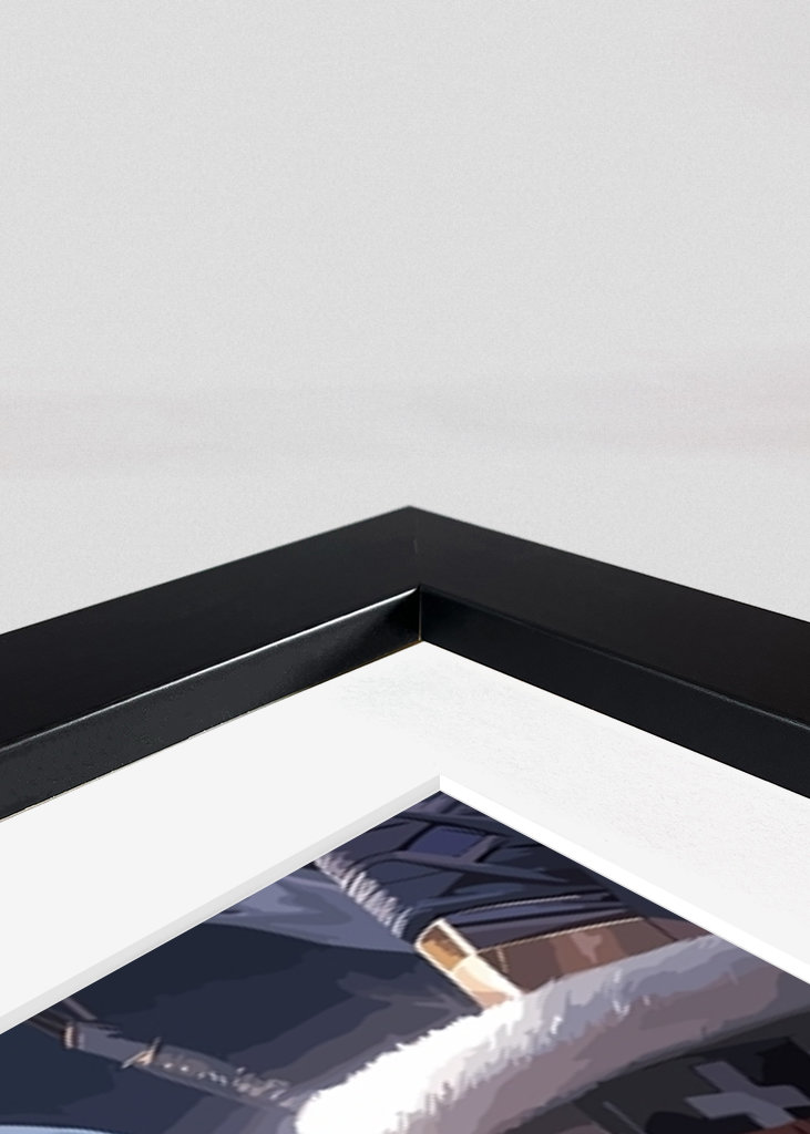 Trafalgar Law - One Piece